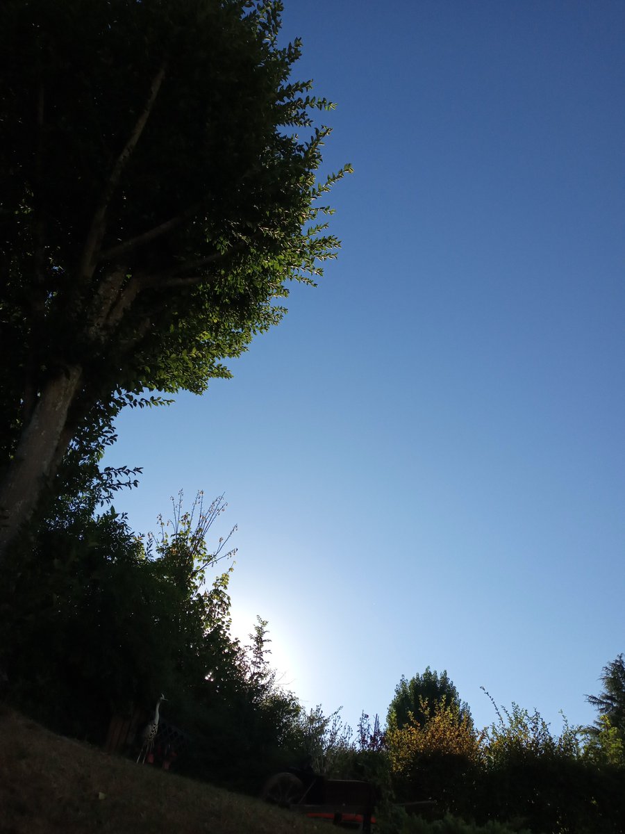 godetgerard1's tweet photo. @luludurhone Bonjour Lucile ! J'etais parti m'aerer à la campagne https://t.co/sjmS4vDVxv
