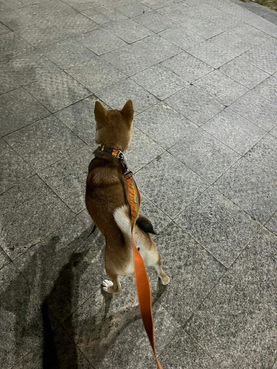 自嘲：本是后山人，偶居堂前客，醉舞经阁半卷书，坐井说天阔！  大志戏功名，海斗量祸
福......