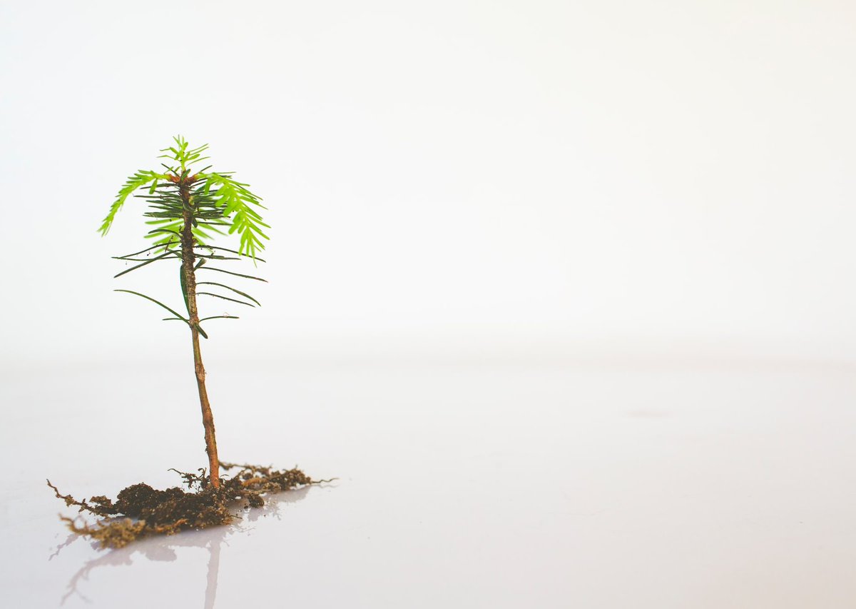 evolveadvisory's tweet image. Grow during a recession? YES!

Last week, we posted a blog revealing things you can do to bolster your business for a recession. This week Dominic Monkhouse talks about ten things you can do to actually GROW during a recession.

bit.ly/3dJRi8B

#recessiontips #growth