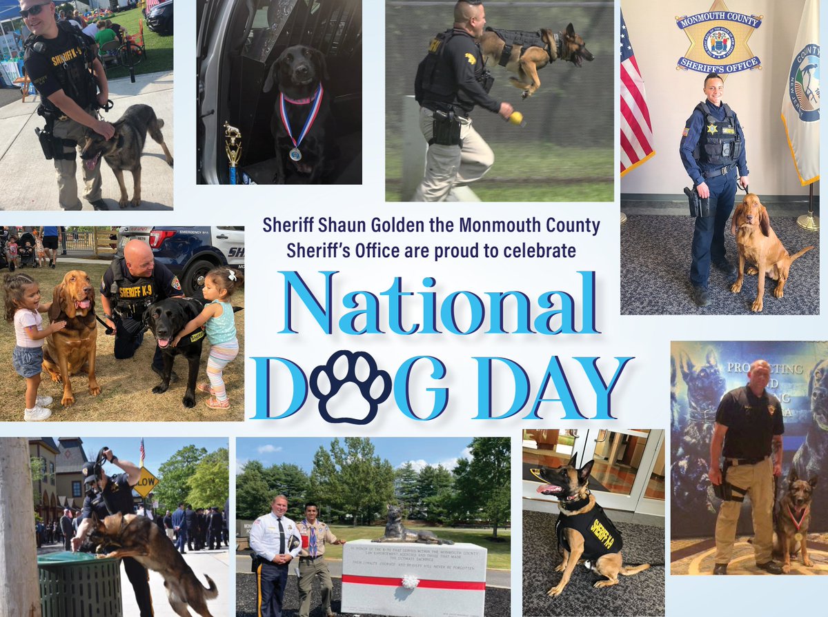 It's #NationalDogDay &amp; we salute all K9s especially from the #MCSONJ. This day spreads awareness of the number of dogs that need to be rescued &amp; acknowledges hard working K9s in LE who work tirelessly to protect the public. <a href="/sheriffgolden/">Shaun Golden</a> also thx <a href="/TheMCSPCA/">Monmouth County SPCA</a> for their hard work.