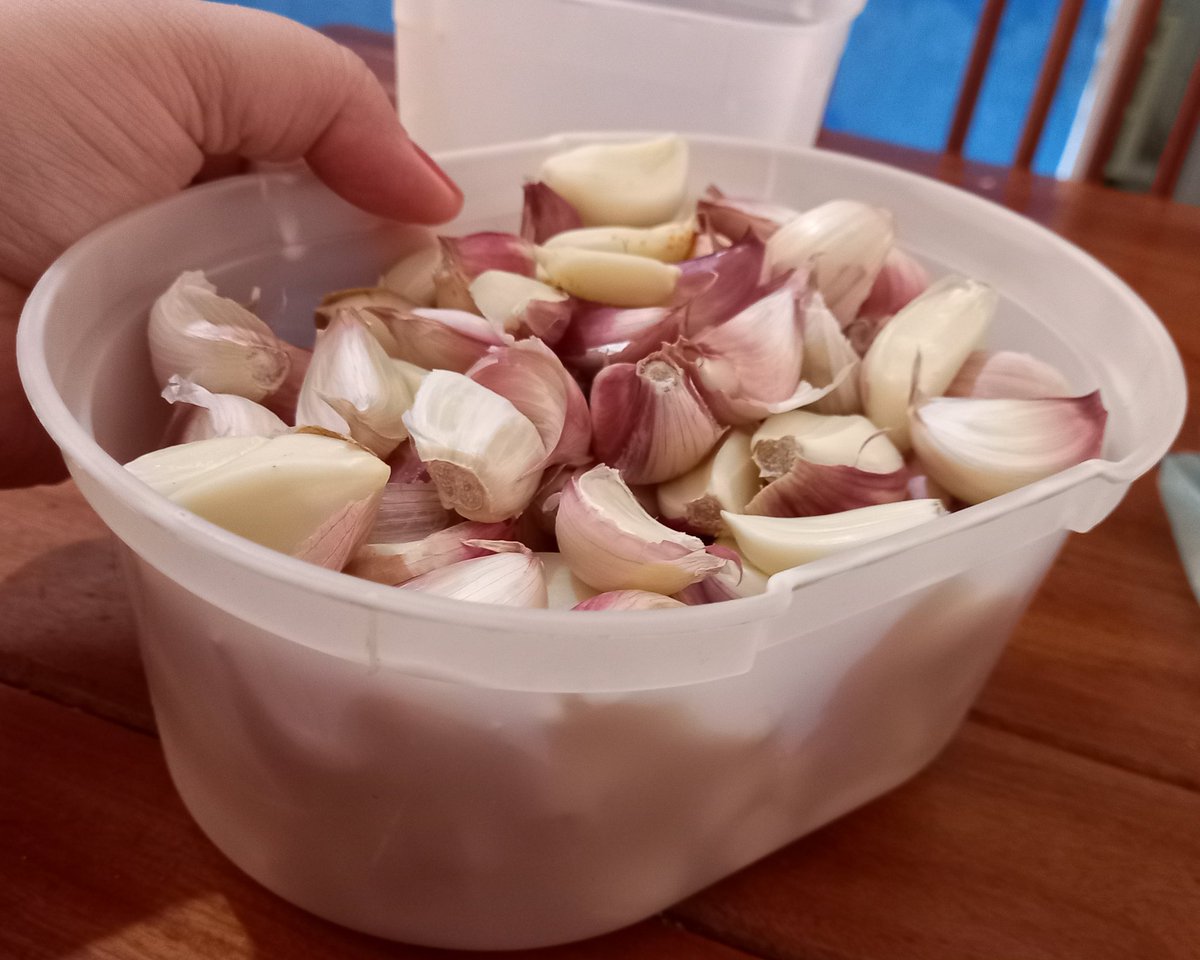 patiquental's tweet photo. A receita pede 3 dentes de alho.

Eu; https://t.co/VoNZILtYVF