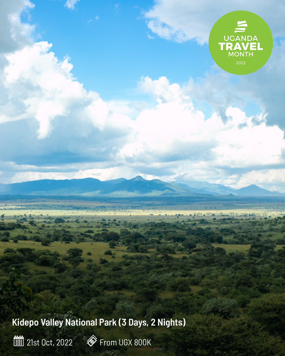 thePearlGuideUg's tweet photo. What a beauty!😍 RT if you appreciate beautiful Uganda.🇺🇬

📌 Adere Safari Lodge - Our hideaway on Trip 3 of #UgandaTravelMonth

🗺️ Kidepo Full Itinerary: ⁣https://t.co/Rii67xmlBn https://t.co/qzuvJ1TiKh
