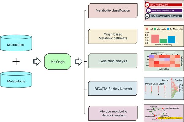 iMetaScience's tweet photo. MetOrigin: Discriminating the origins of microbial metabolites for integrative analysis of the gut microbiome and metabolome. Freely available at https://t.co/rekKaY1ZwJ

#Bioinformatics #microbiome #metagenomics 

https://t.co/gFI3fiQvyU https://t.co/zs6xUg0e65