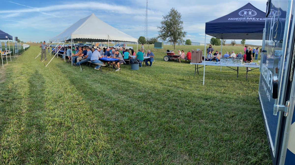TheRightSeed's tweet image. How it started ➡️ How it went

Glad to have everyone to our master plot in Carroll, IA. Shared some fan favorite products, a meal and great conversation. 

Let us know below if you have made it a master plot this year! 

#MasterPlot #TheRightSeed #Hoegemeyer