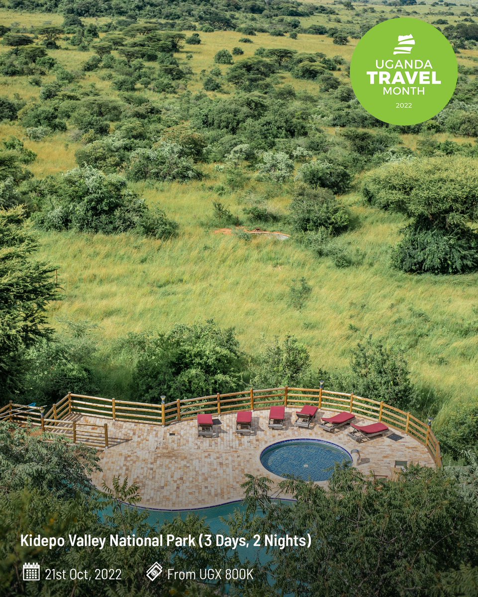 thePearlGuideUg's tweet photo. What a beauty!😍 RT if you appreciate beautiful Uganda.🇺🇬

📌 Adere Safari Lodge - Our hideaway on Trip 3 of #UgandaTravelMonth

🗺️ Kidepo Full Itinerary: ⁣https://t.co/Rii67xmlBn https://t.co/qzuvJ1TiKh