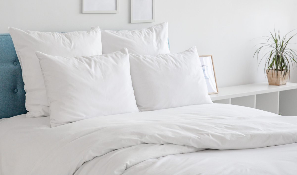 ToestySheets tweet picture