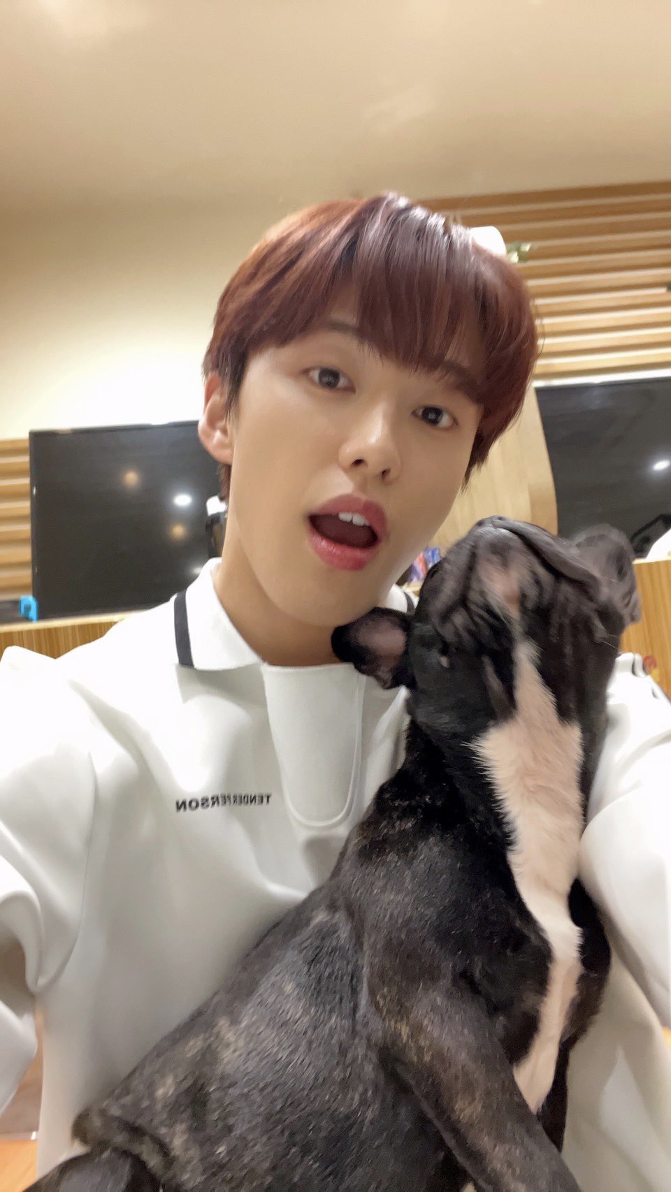 河野純喜 サノク JO1 on X: 