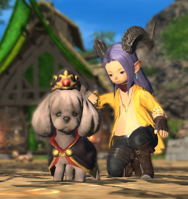 Khiyo6's tweet photo. @FF_XIV_EN Just waiting on my renovation timers to finish with my boy ^^ https://t.co/NCkvfJBxQ9