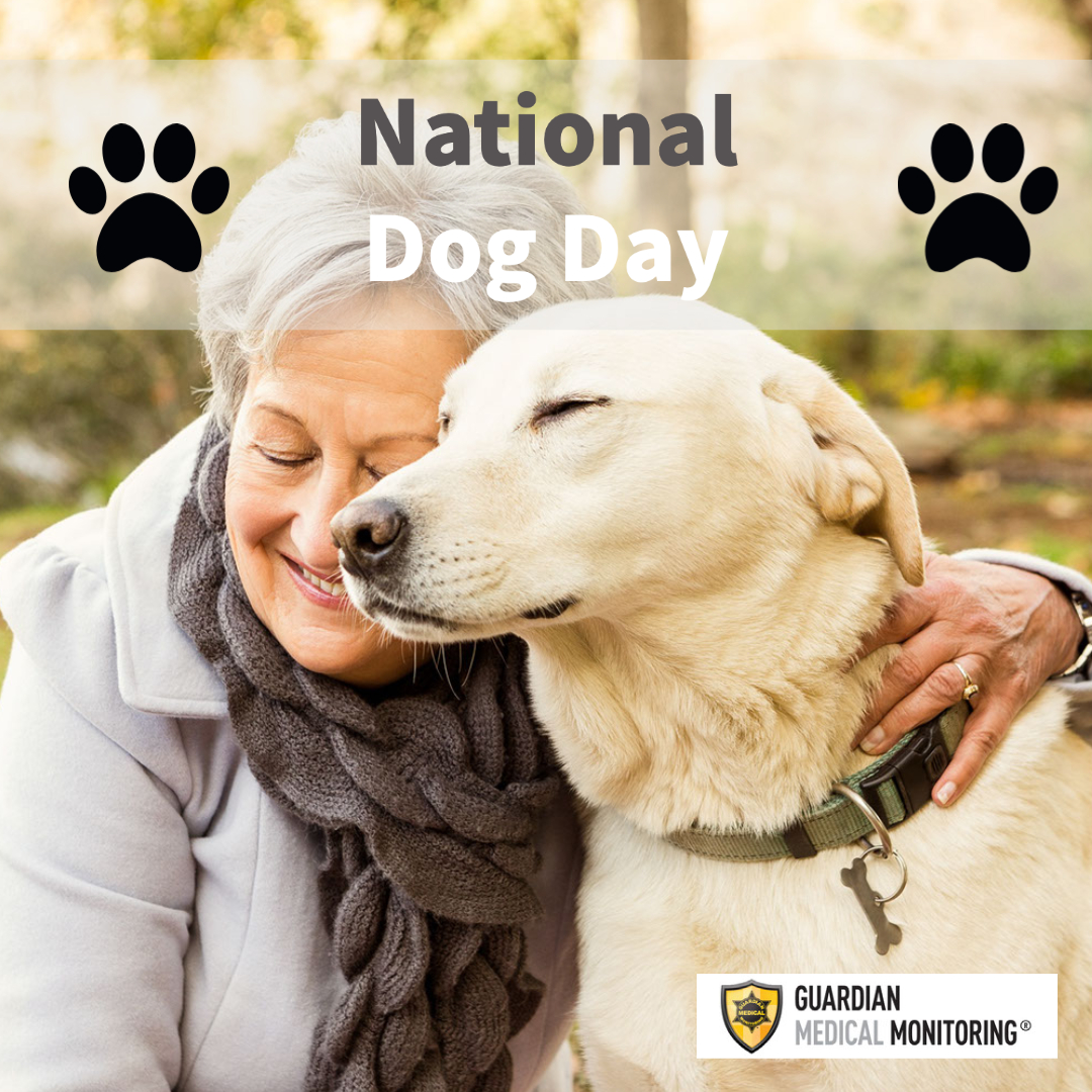 GuardianMedMon's tweet photo. It's National Dog Day! Dogs make great companions for older adults, especially those living alone. #NationalDogDay https://t.co/EDfu4MUuAo