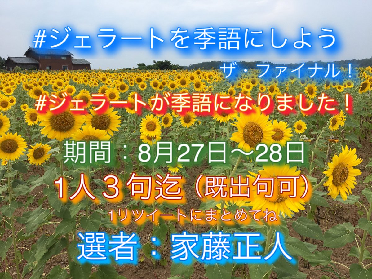 山本先生 Y T Haiku Twitter