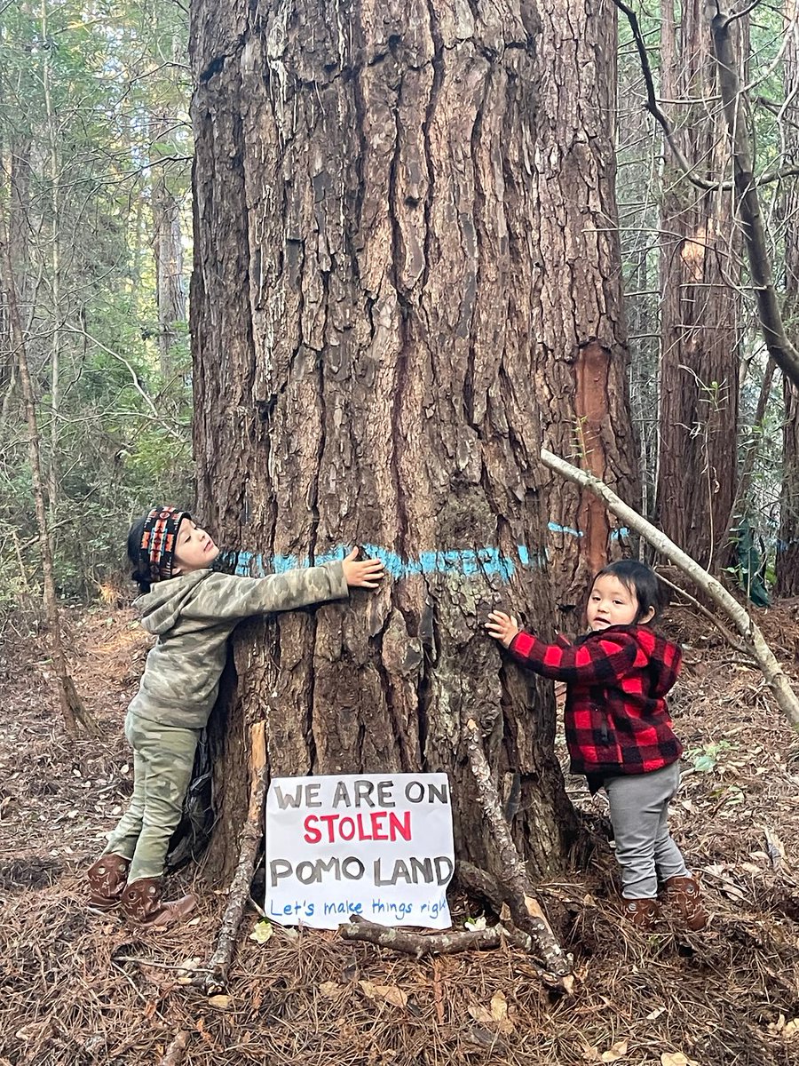 RudeKPFA's tweet photo. Logging at Jackson Demonstration State Forest, again?
🎧https://t.co/MpFQRwBSGO
Listen for a live update from Matt Simmons and Tribal Chairman Michael Hunter on
A Rude Awakening
@kpfaradio
https://t.co/AiyJuZO4q8
https://t.co/LM3xqyTdnu
https://t.co/iWSyx9BskS
#pomolandback https://t.co/oHQvzYI19k