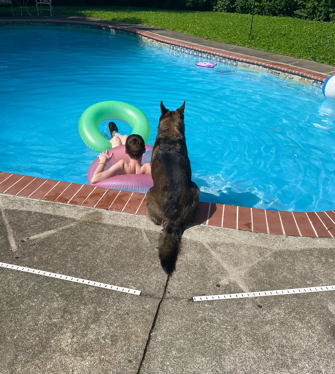 ChristinaRoot11's tweet photo. #InternationalDogDay https://t.co/XikwBqabGT