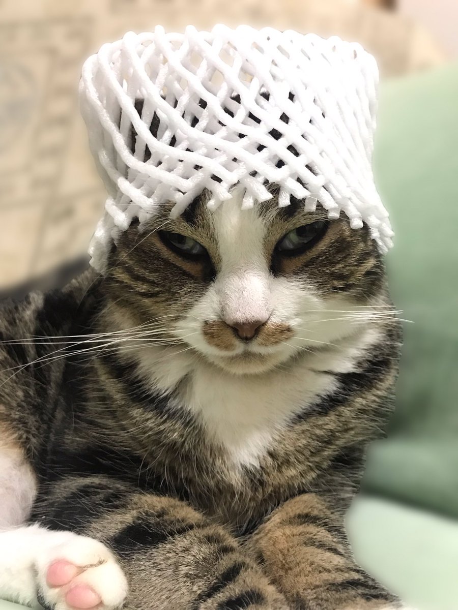 店内全品対象 インテリア 目つきの悪い猫ちゃんベル Loux Org