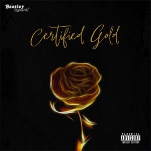rulesonrecords's tweet photo. Certified Gold by Various Artists https://t.co/rQXG7hpASu https://t.co/MEc9Afp5iB
