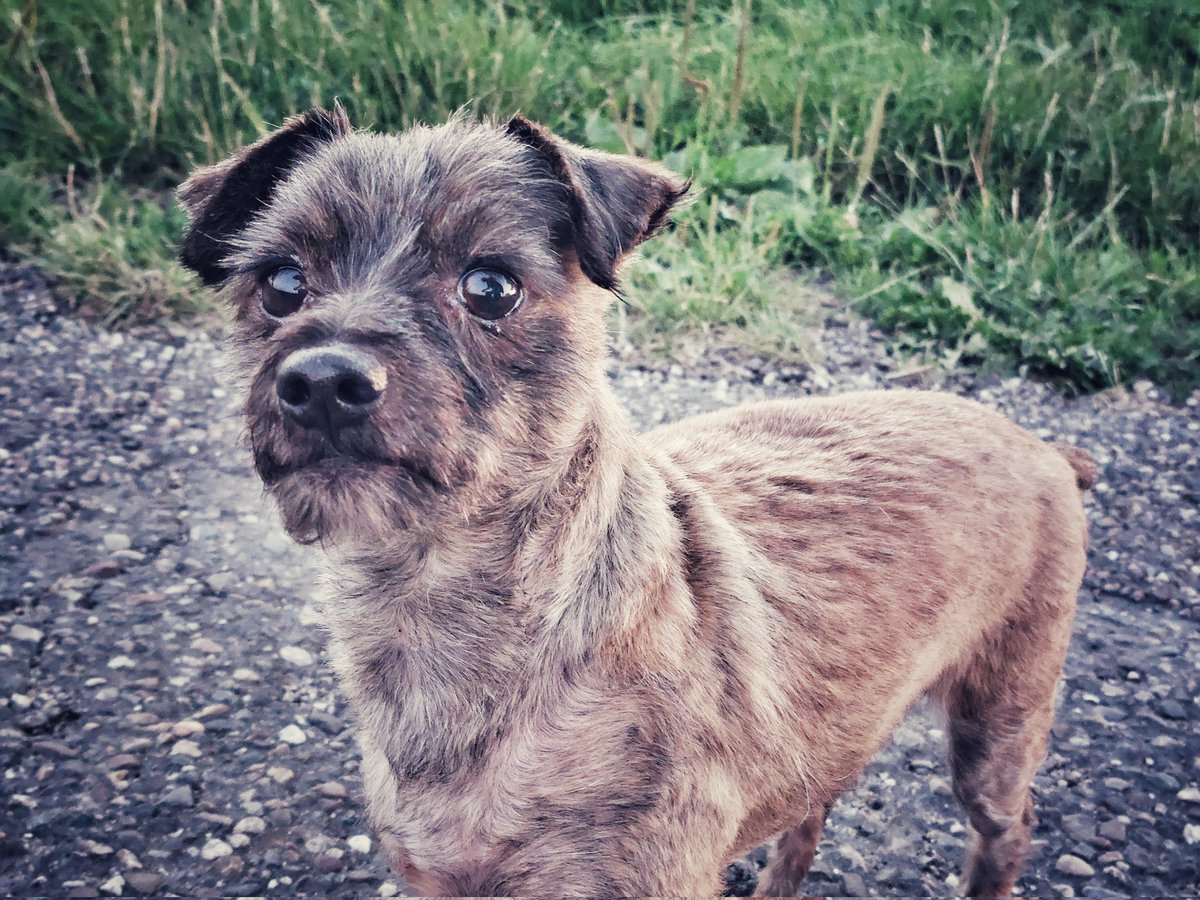 Wilma tweet media