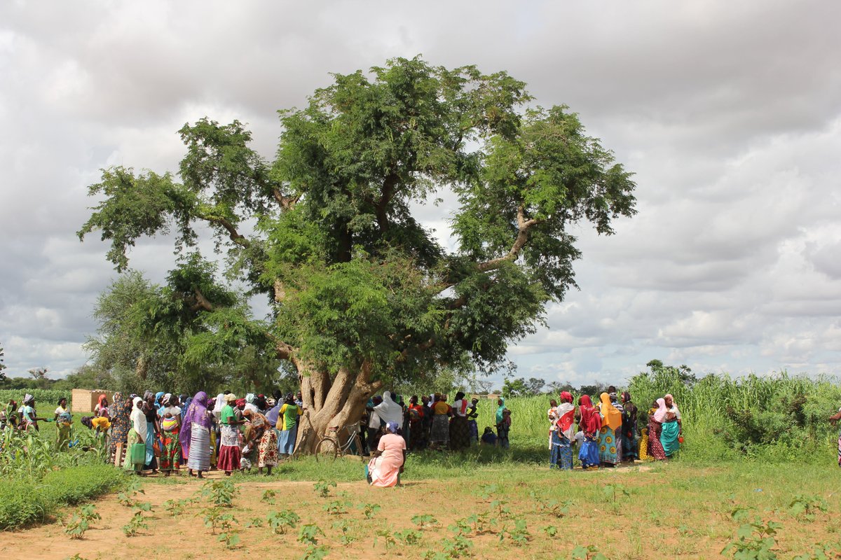 Première région #humanitaire, le Centre_Nord concentre 34,5% des #PDI dont 54% de femmes

➡️A #Kaya, <a href="/UNFPABF/">UNFPA Burkina Faso</a> a lancé l'initiative du "Champs de la Paix" #Peace_Field🌽pour renforcer la cohésion sociale &amp; l'autonomisation des femmes, au profit des #PDI &amp; population hôte
<a href="/amatavel/">Argentina Matavel</a>