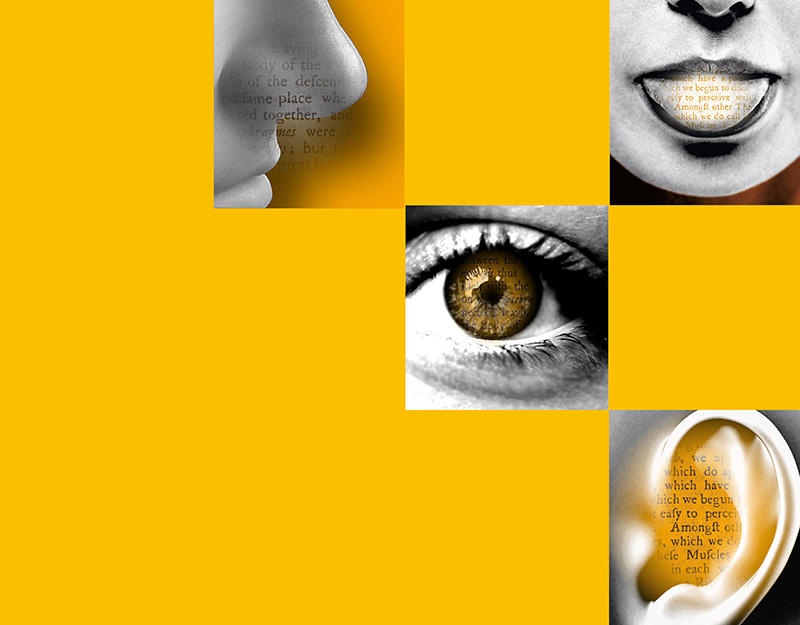 BodEducation's tweet photo. A date for your diary: 21 October. Join us for an interactive evening of talks, discussion, creative activities and performance inspired by our Sensational Books exhibition, 7.00-9.30pm, Weston Library. https://t.co/tdGTJzP4f9 #SensationalBooks #LibraryLate https://t.co/NXEwrDgOEC