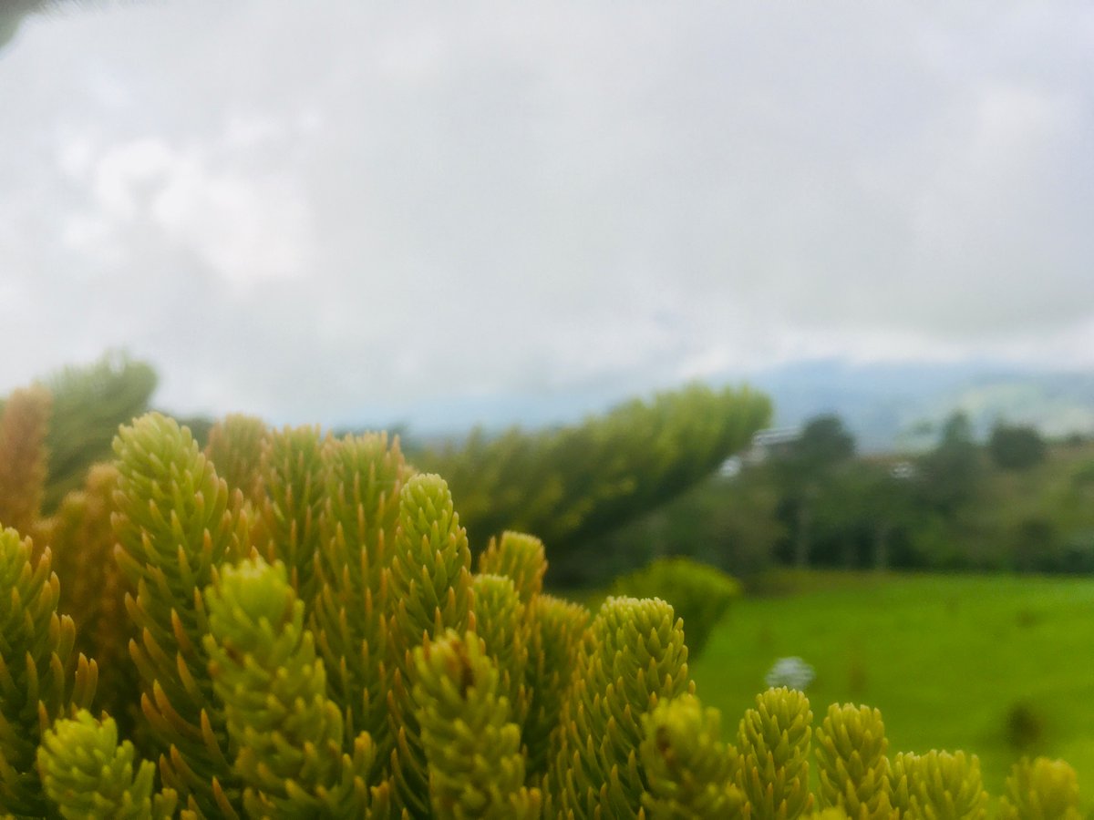 flashl3m's tweet photo. Nature. 
The Creation. https://t.co/u7qopr074R