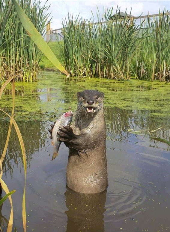 Why does he look like he's won PL Player of the month