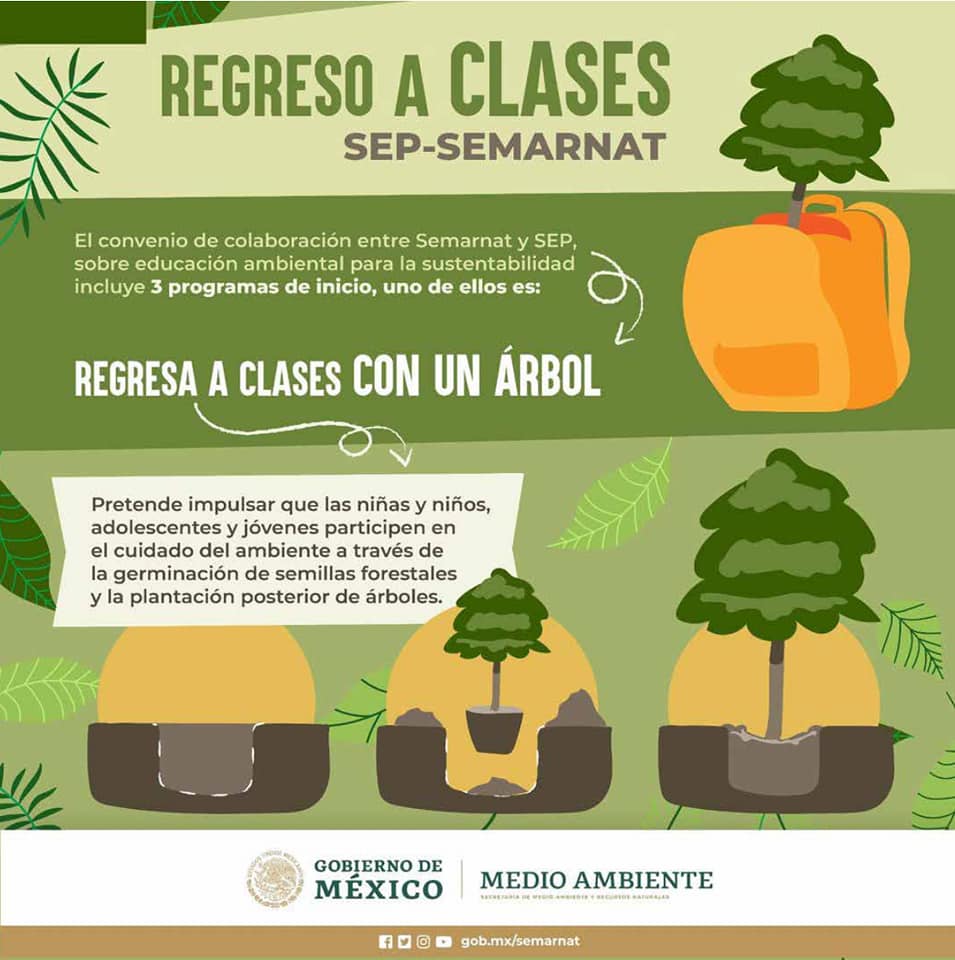 Comisión Forestal tweet media