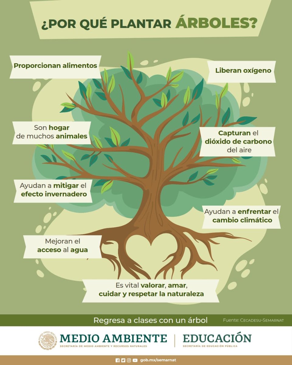 Comisión Forestal tweet media