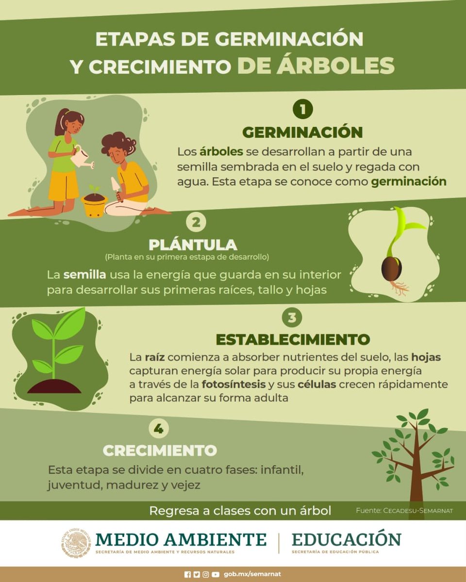 Comisión Forestal tweet media