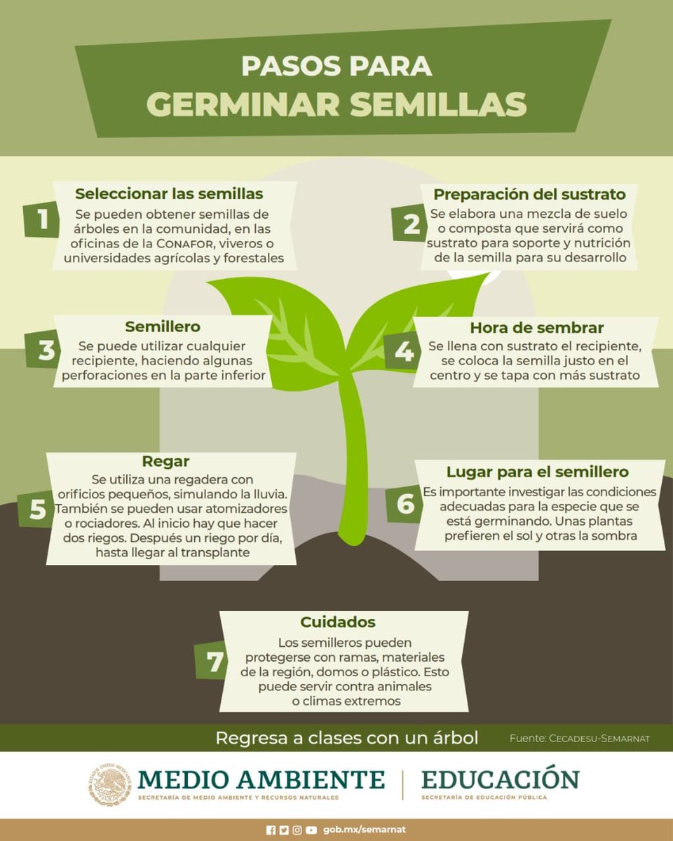 Comisión Forestal tweet media