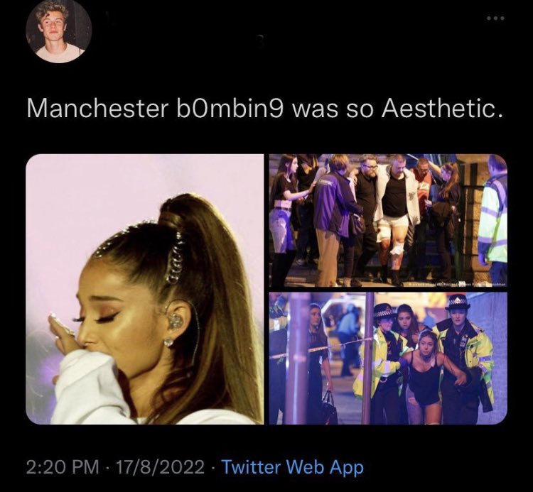 tragicbirdapp's tweet photo. https://t.co/b5mTDrtV0B