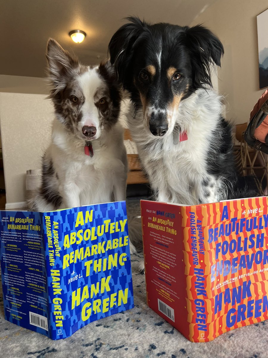 paytmitch's tweet photo. @hankgreen i took this so quickly i am amazed at myself https://t.co/XeEpQ9pC10
