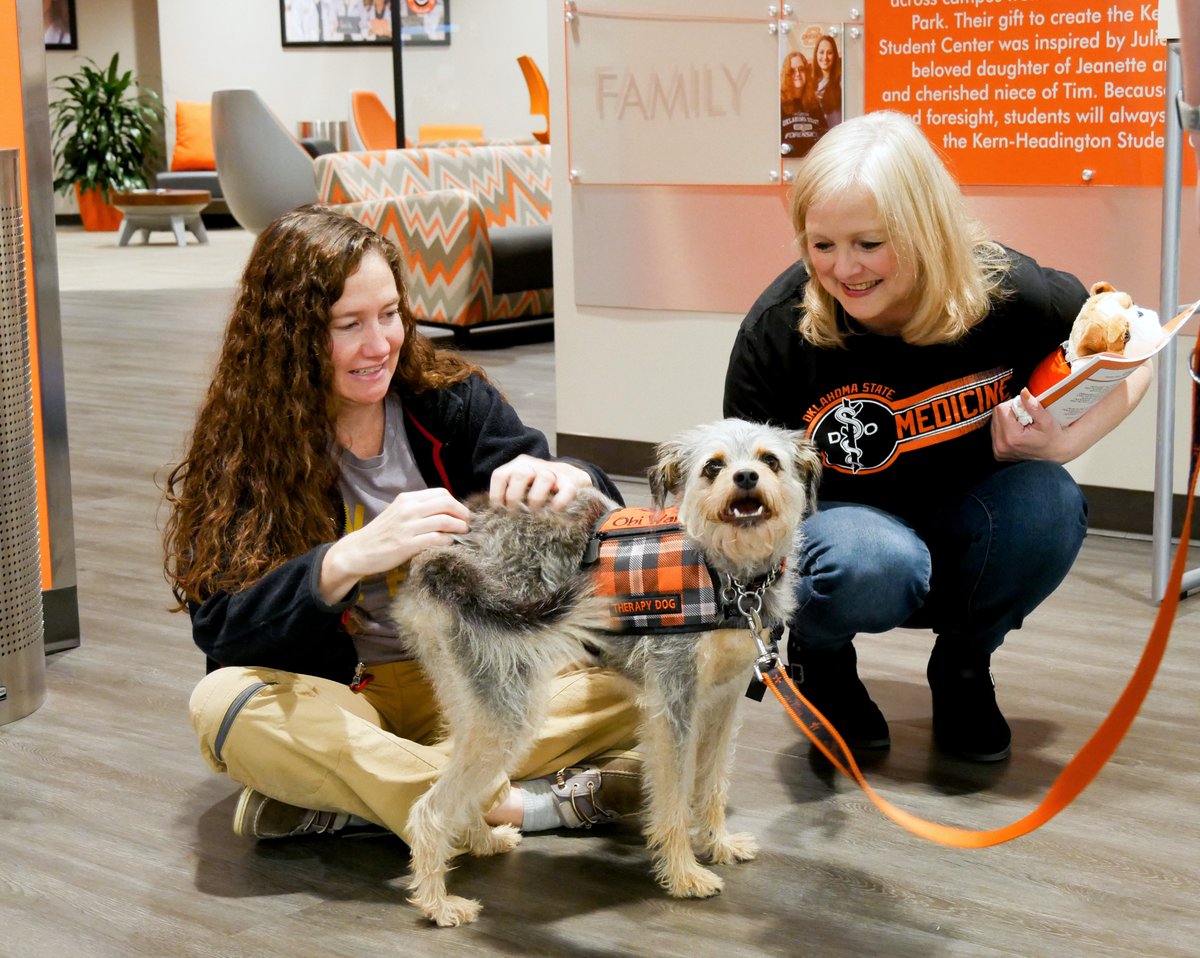 OSUMedicine's tweet photo. Thank you to everyone who stopped by to grab a donut and say hi to our @petespetposse dogs today! We sure know how to celebrate #nationaldogday at OSU-CHS! @Pets4PeteTulsa https://t.co/yjzthCiIvy