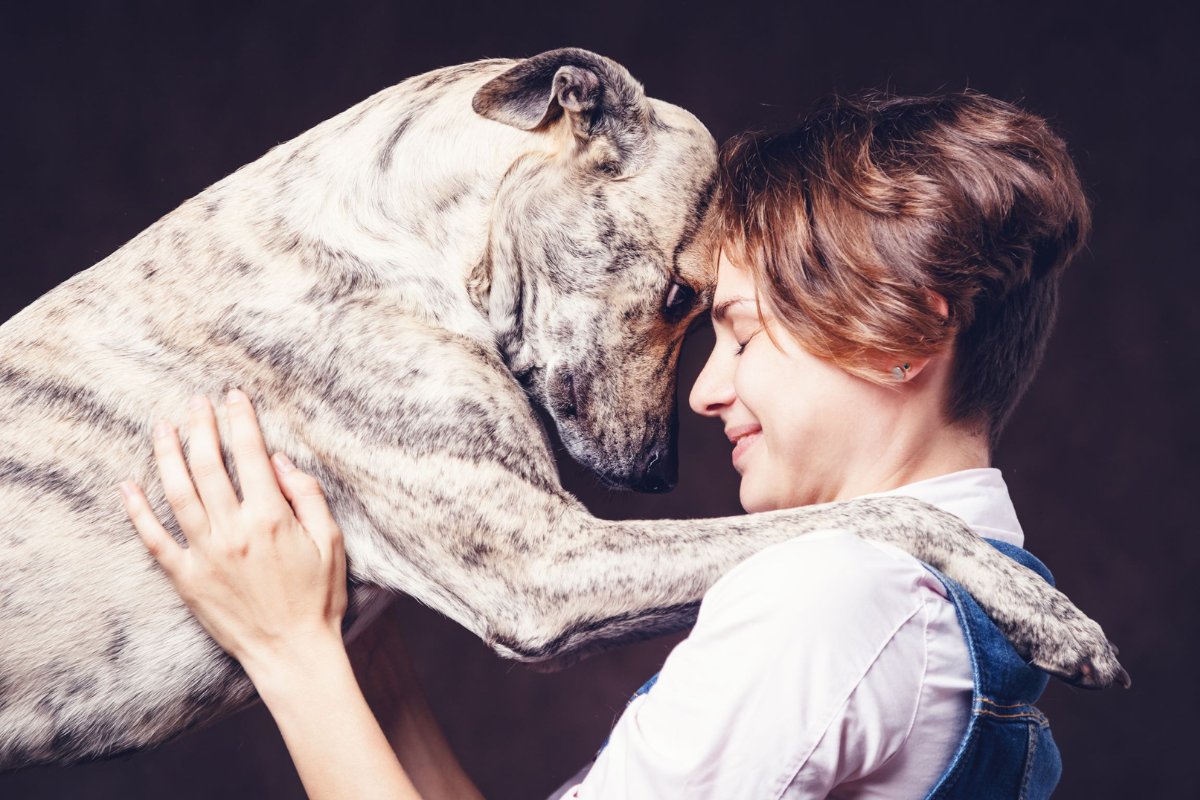 CPMATWEETS's tweet photo. Happy National Dog Day from CPMA

National Dog Day (August 26) celebrates dogs and all they do!  
https://t.co/XE8C7GO7A4 https://t.co/paTMk5eqeS
