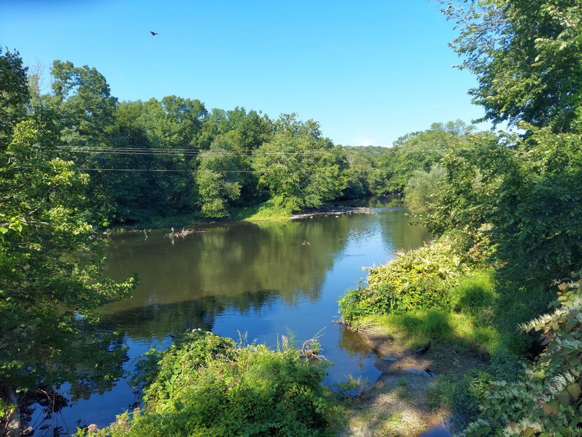Bob_Lazzari's tweet photo. Friday on the Air Line:  5 miles from Pomfret to Putnam, CT--one of the more underdeveloped parts of the trail. #FamJam22 @MrsHayesfam @BetsyCallanan @jcae2008 @msjellman @MrsOTeachesK @cabernetfanc @mohrorless @ChristineBemis2 @PamPeekeMD @pinktearoom @carrieri_jenny https://t.co/TU7A8waKFi