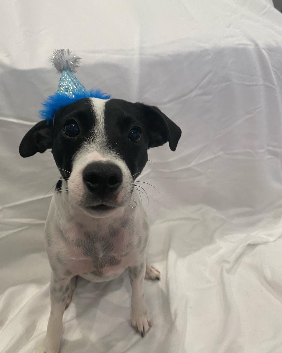 Cheer Cincinnati tweet media