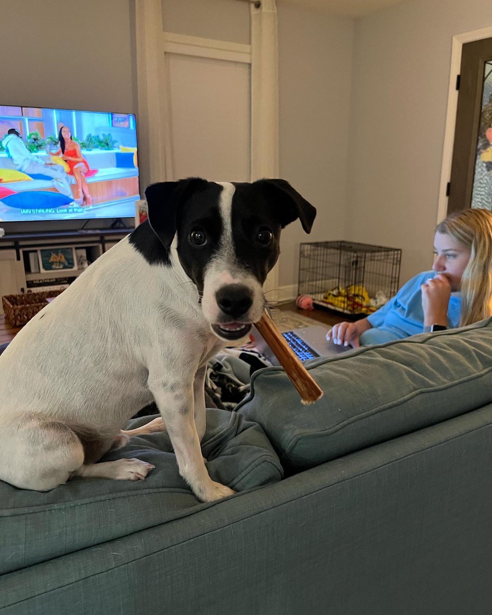 Cheer Cincinnati tweet media