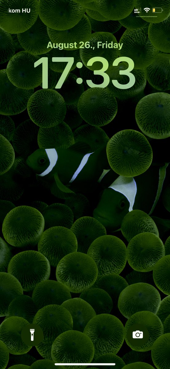 KristofKekesi's tweet image. Don’t know if this is a bug or the always on display just kicked in but my phone’s lock screen looked like this after scanning a document via the import from iphone menu from my mac. #iOS16Beta7