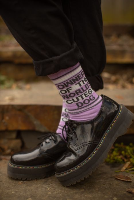 SockDreams's tweet photo. Your dog, is def the cutest dog in the world.
US shoe size: 6-11 women's, 5-9 men's
Stretch around leg, 16" at cuff
Length, heel to top: 8", unstretched
https://t.co/Je8FoAubhb
#NationalDogDay #dogsocks #DogDay https://t.co/E3jPp2jbp2