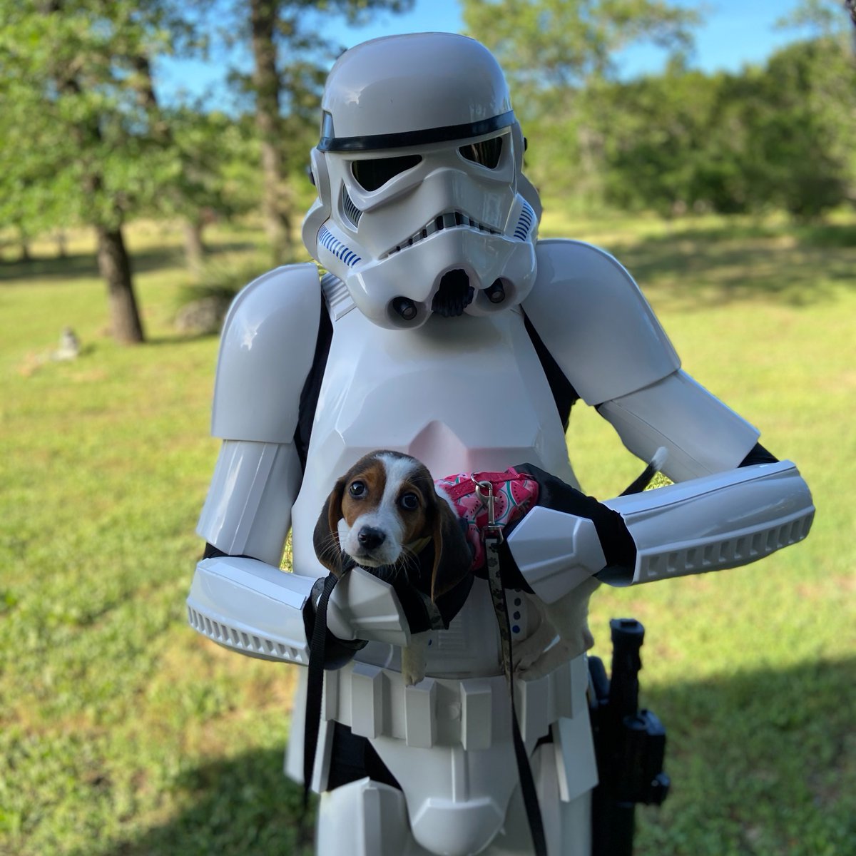 SquadCtx's tweet photo. #CTXSquad wishes you a Happy #NationalDogDay https://t.co/MkkeW6cWwW
