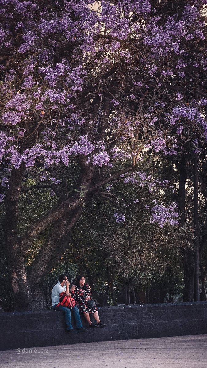 Daniel Cruz tweet media