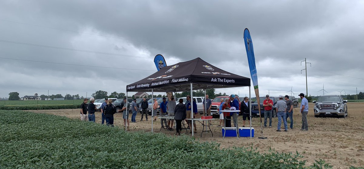 dspencer307's tweet photo. The drizzle is keeping the heat of the sun away for #plot22 @ParrishHeimbeck #Kerwood #Glencoe #ontag @DanVanek @Nayber123 https://t.co/gPFMBpT6xm