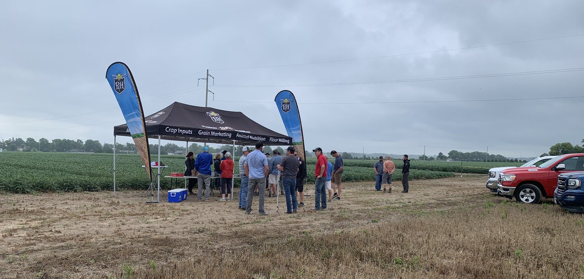dspencer307's tweet photo. The drizzle is keeping the heat of the sun away for #plot22 @ParrishHeimbeck #Kerwood #Glencoe #ontag @DanVanek @Nayber123 https://t.co/gPFMBpT6xm