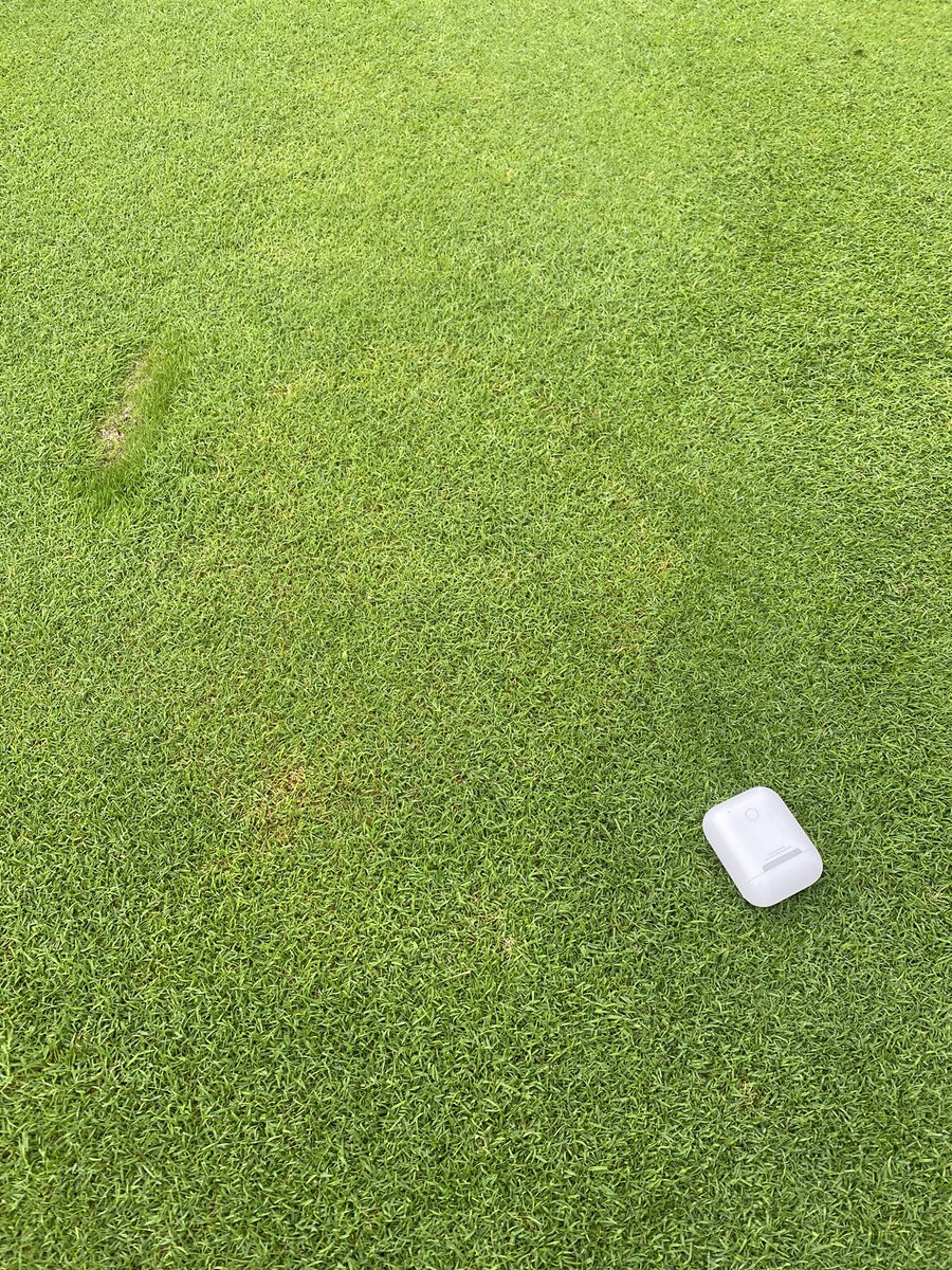 Matthew Legg (@mleggturf) on Twitter photo The rains and humidity in Ontario this week have created the conditions for Brown Patch.  Easily prevented with a dollar spot chemistry choice that encompasses secondary coverage against this rhizoctonia disease.  Label depth pays! #Velista #BannerMaxx The rains and humidity in Ontario this week have created the conditions for Brown Patch.  Easily prevented with a dollar spot chemistry choice that encompasses secondary coverage against this rhizoctonia disease.  Label depth pays! #Velista #BannerMaxx