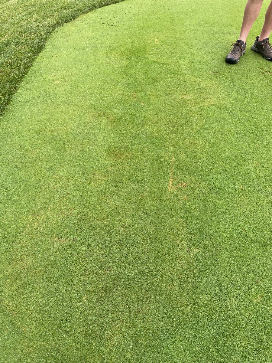 Matthew Legg tweet media