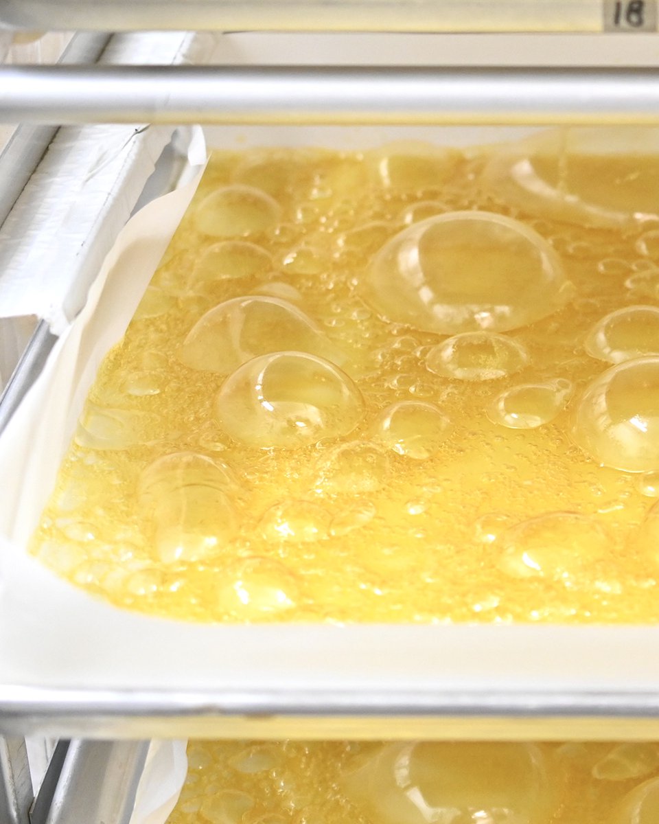 NW_Kind's tweet photo. Bubblin' and fresh...peep our platinum shatter 🤤
Serving up the Northwest’s KINDEST #cannabis. https://t.co/lcQANRIDOo