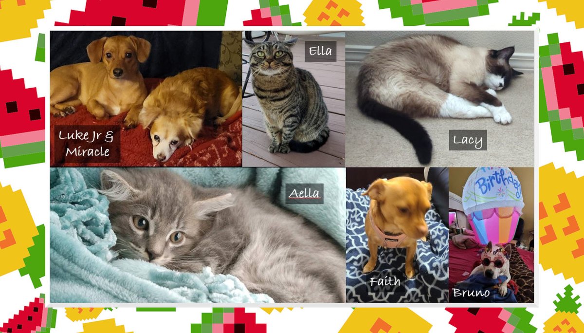 CustomerImpact's tweet photo. Our final "Pets of the Reps" Friday of Summer 2022. 

Thanks again to all of our wonderful field representatives for submitting photos! We've enjoyed seeing and sharing them with the community.

🐶🐱

#HappyFriday #SummerVibes https://t.co/72i1iYnaDP