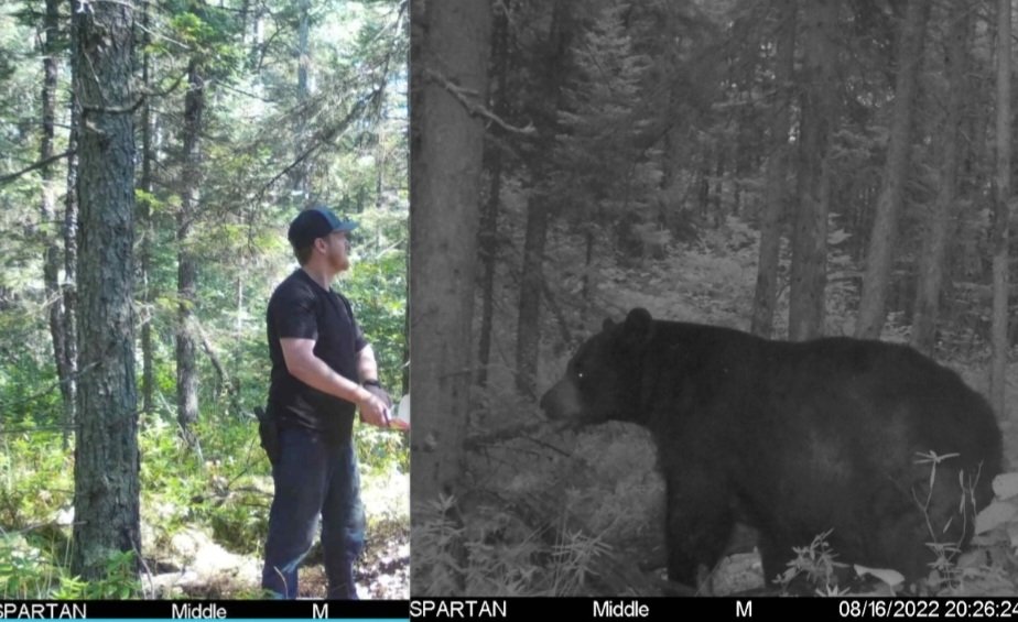 The use of Spartan cameras have allowed me to know how much and how often I need to bait!

Check out what Spartan has to offer go.spartancamera.com/?ref=xNJKI4miO…

Use my code NATHANROEMER2 and save 10% <a href="/spartancamera/">Spartan Camera</a>
