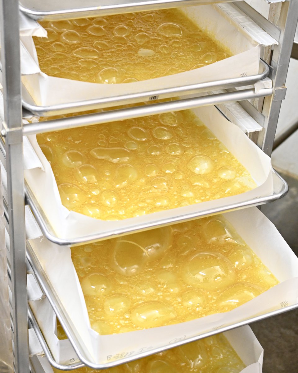 NW_Kind's tweet photo. Bubblin' and fresh...peep our platinum shatter 🤤
Serving up the Northwest’s KINDEST #cannabis. https://t.co/lcQANRIDOo