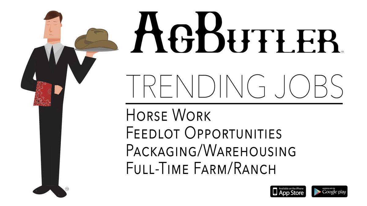 Our diversification in job offerings continues to grow. Check out our latest trends in jobs. 

#AgButlerApp #JobSearch