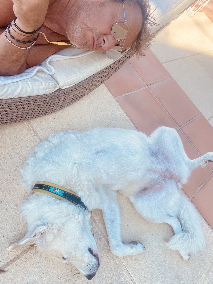 Jean-Luc Reichmann tweet media