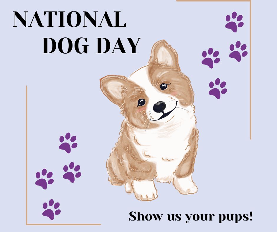 Pozotron tweet media