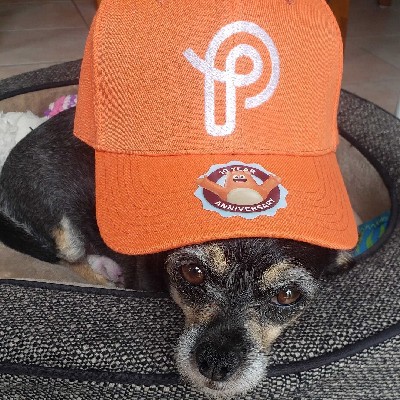 Prodigy Careers tweet media